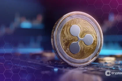 1758012107 stock image optimized 21.webp