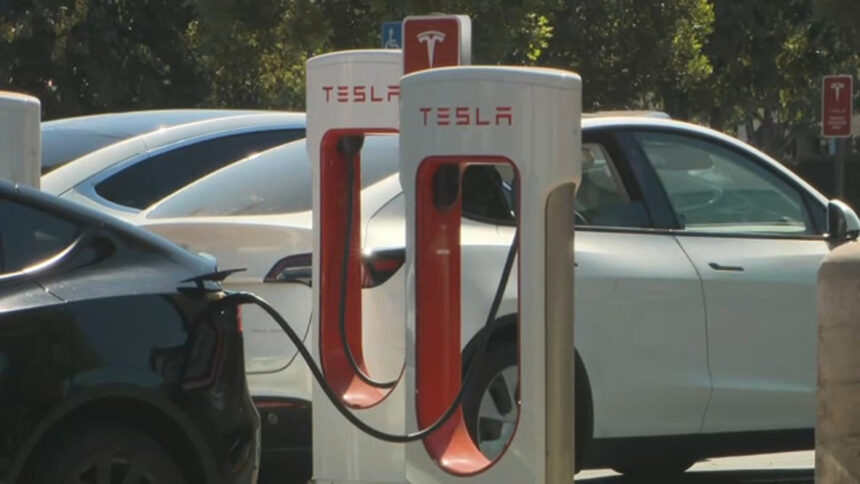 17837879 tesla img web