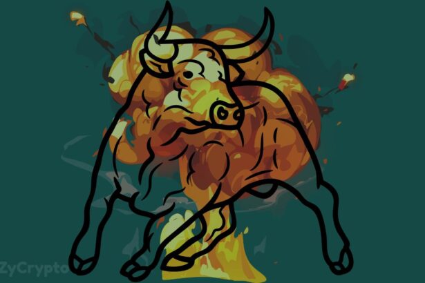 Altcoins Are About to Explode — Analyst Prediction For Ether Solana XRP Cardano Shiba Inu PEPE