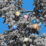 Altsezon 2025 altcoin season Altseason.webp