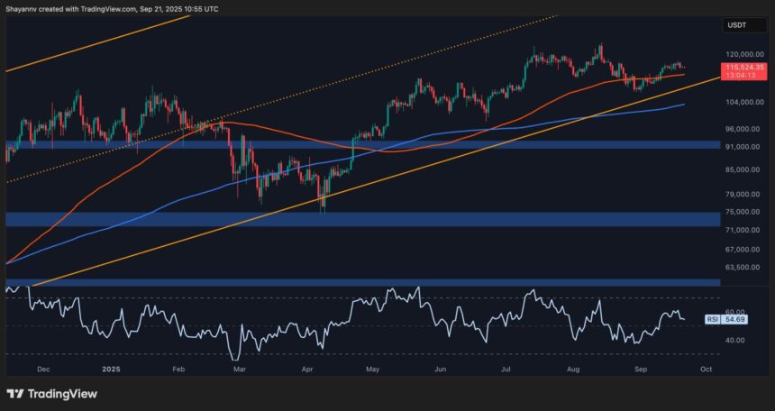 BTC Daily 5 scaled