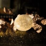 Btc Bitcoin Cryptocurrency Coin Show On