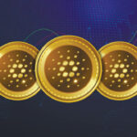 Cardano from Adobe Stock 8