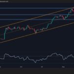 ETH D 2 scaled