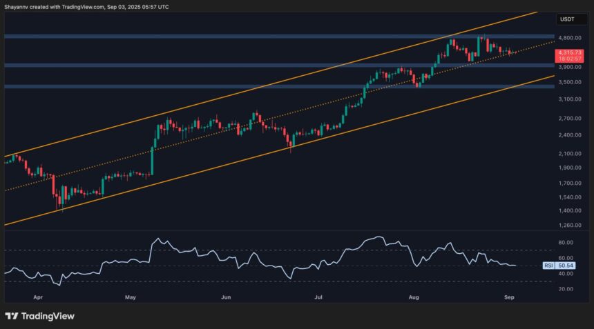 ETH D 2 scaled
