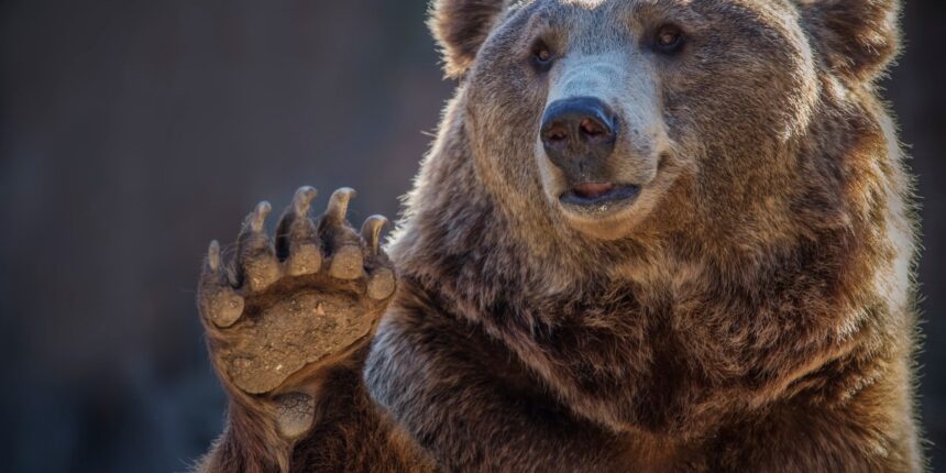 Goldilocks Economy Faces Potential Shocks Amid Optimism in Markets 1 GettyImages 891415648