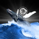Nablyudenie za kitami. Kak zarabatyvat na dvizheniyah krupnyh igrokov rynka rasskazyvaet Whalepro.we