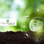 Natures Miracle Bets 20M on Blockchain Carbon Credits to Capture 1M Tons of CO₂