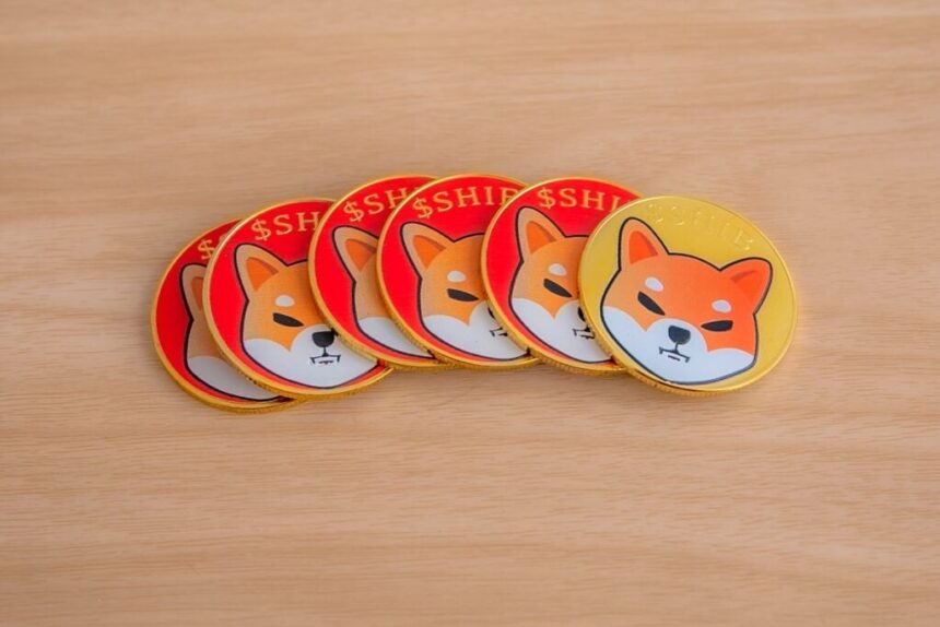 One Gold Shiba Inu shib Ahead Followed B