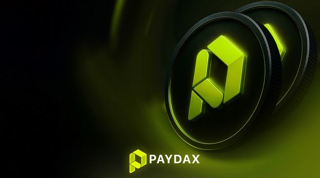Screenshot 2025 09 21 at 11 38 22 Paydax Protocol PDP Bringing Robust Digital Banking to the DeFi Wo