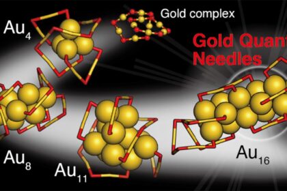 Structural Evolution of Gold Nanoclusters