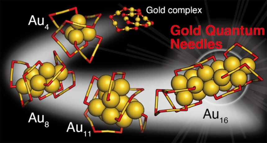 University of Tokyo researchers discover gold quantum needles with potential applications in biomedical imaging and energy conversion 1 Structural Evolution of Gold Nanoclusters