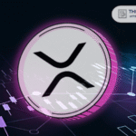 TCB 001 2024 12 13T104026583