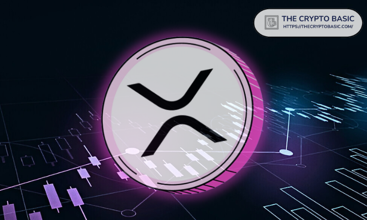 TCB 001 2024 12 13T104026583