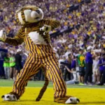 USATSI 24353554.jpg.webp