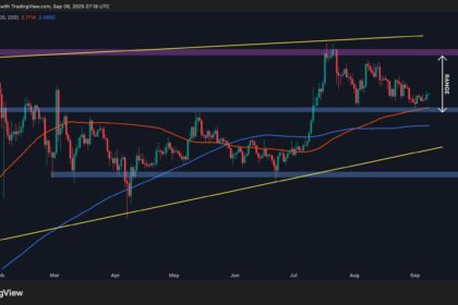 XRP D 1 scaled