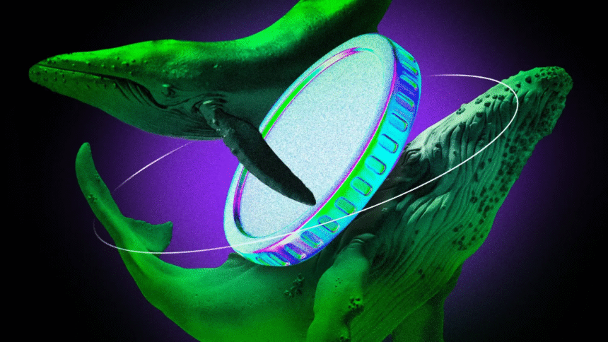 altcoin whale
