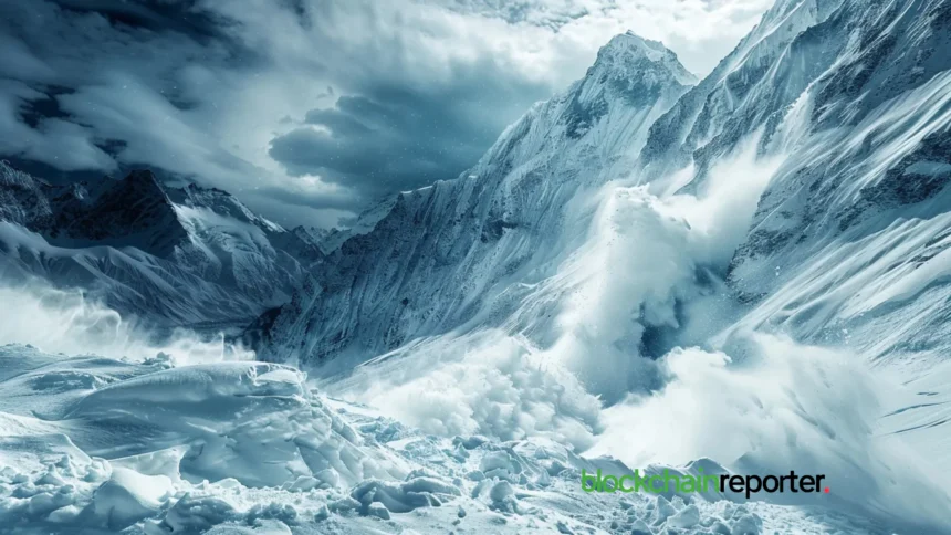avalanche2 4.webp