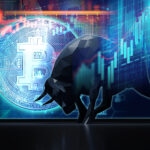 bitcoin bull
