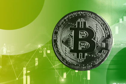 bitcoin decrypt style 30 gID 7