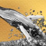 bitcoin whale decrypt style 02 gID 7