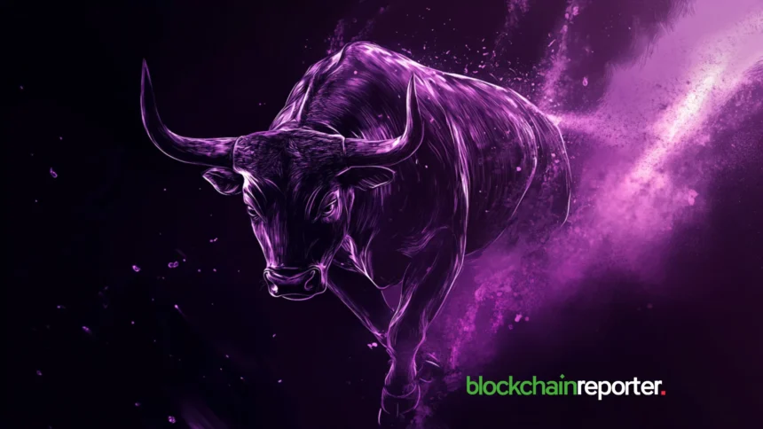 bull purple dark 5.webp