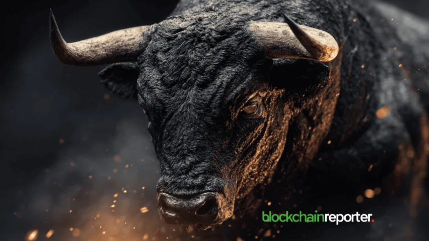 bull3.webp