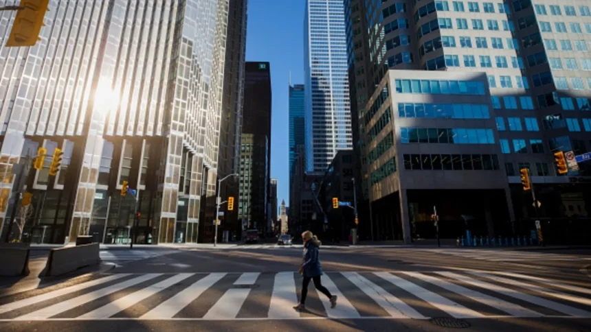 canada tradeogre tornado cash.webp