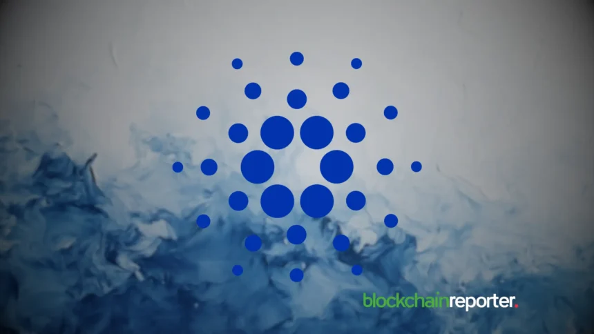 cardano64587 10.webp