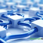 chainlink2 15.webp