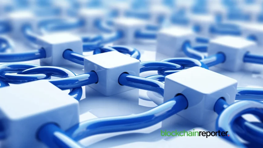 chainlink2 15.webp