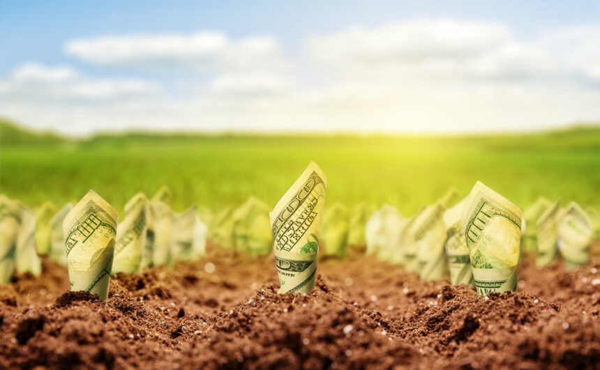 dollar bills growing in ground getty