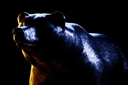frightening bear