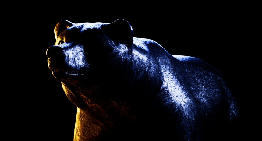 frightening bear