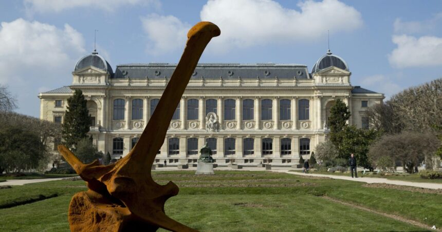 Thieves Steal $700,000 in Gold from Paris Natural History Museum in Latest Cultural Heist 1 gettyimages 515879682