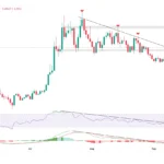 hedera short term.webp