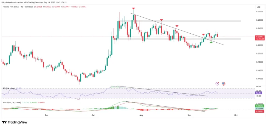 hedera short term.webp