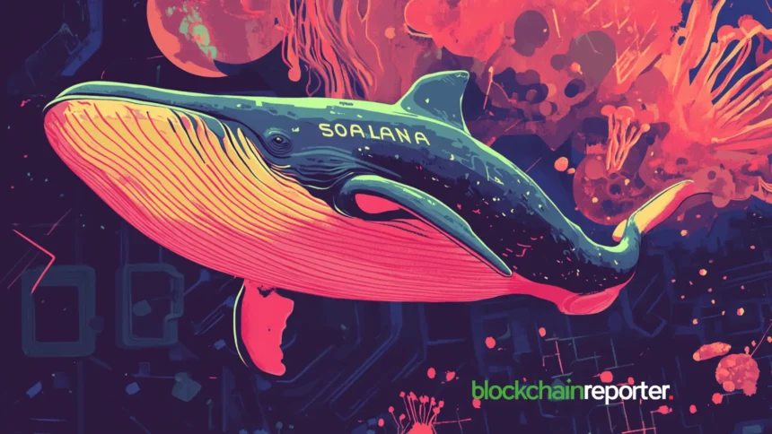 solana whale4 2.webp