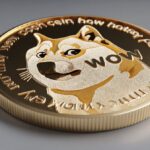 stock image optimized 100