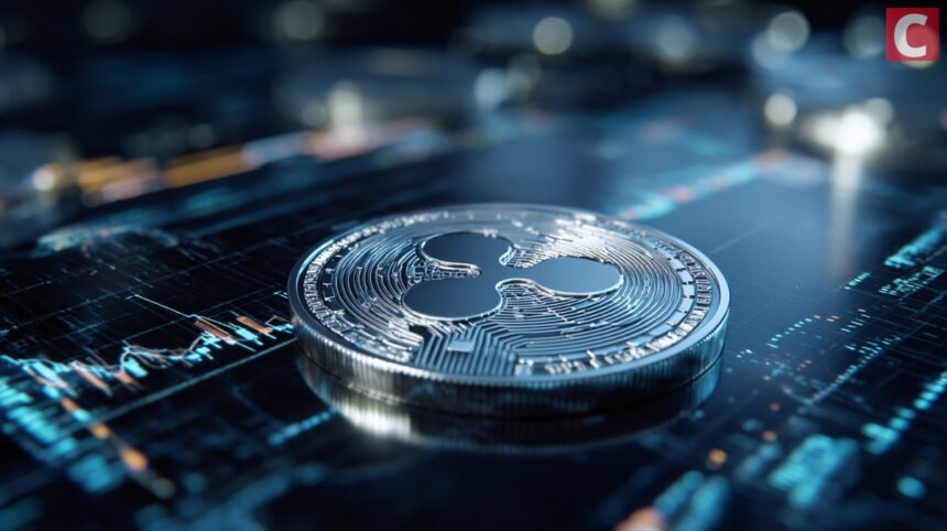 stock image optimized 113