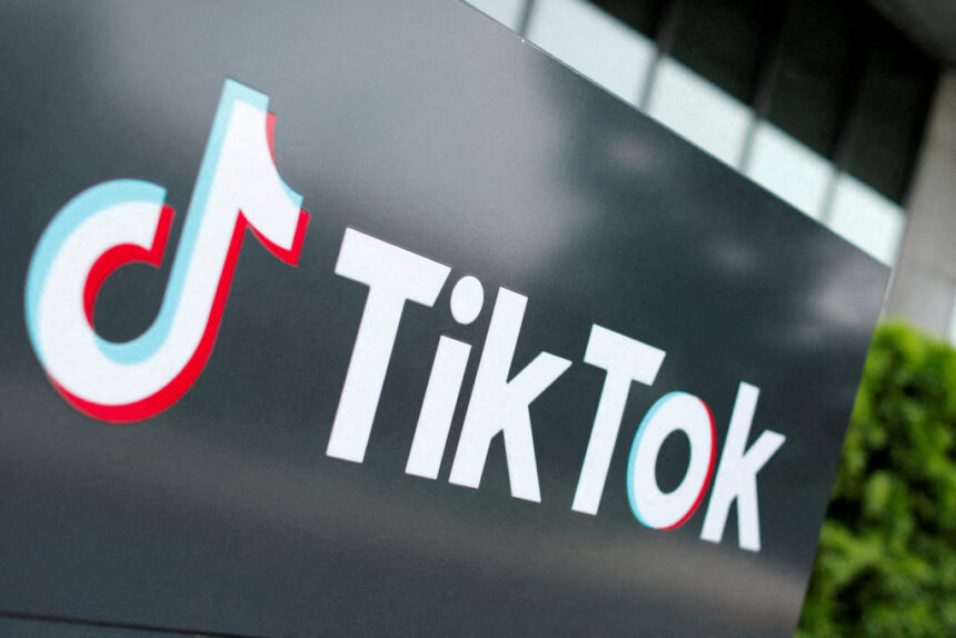 tiktok 1 1024x683