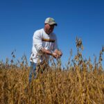 urlhttps3A2F2Fassets.apnews.com2Fd42F392F2e574dec19d032d00844abf3b8b32Fed255205afa246069b62