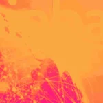 0853feacc1714816055c5fd627257ffb