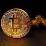 1761660138 articleshow