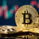 237efae0 aacc 11f0 9ebf 7a70e69a7451