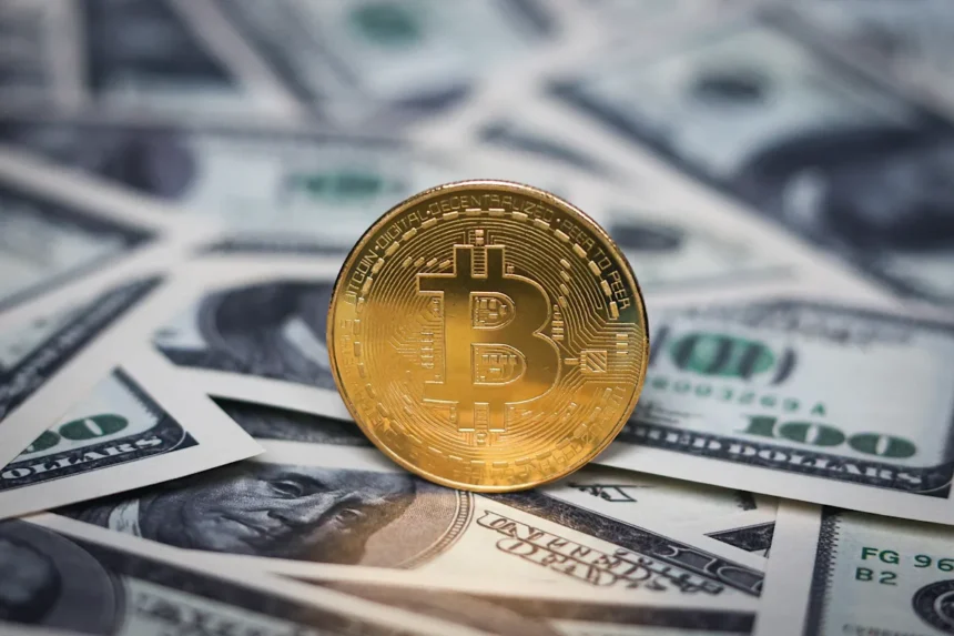 866c8c60 e41d 11ef bee3 b0ee2d07d596