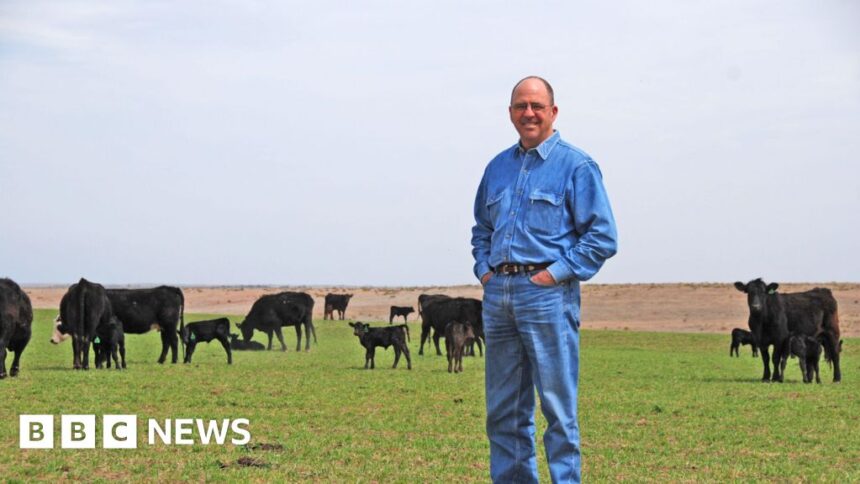 Beef Prices Surge as Ranchers Push Back Against Trump Administration's Solutions 1 8e1858c0 b147 11f0 a7ea b10cef74104a