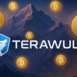 Bitcoin Miner TeraWulf WULF Stock Jumps 25
