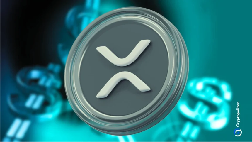 Ripple engineer.webp