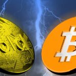 VQDEQD65TNF3BNWPYQJRPOQJLU